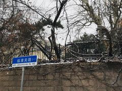 -八大关景区
