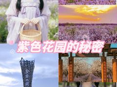 -江苏三台山国家森林公园