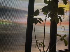 -MEDISN·药厂