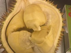 -都念榴莲·城市榴莲