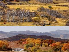 -塞罕坝国家级自然保护区