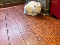 -张记牛肉面馆(天津路店)