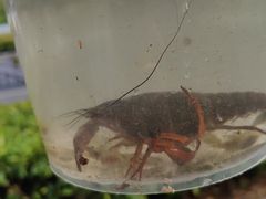 -洛阳市隋唐城遗址植物园