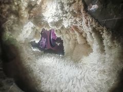 -湖南省地质博物馆