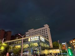 -椿记烧鹅(叠彩店)