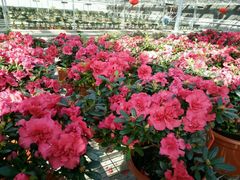 -天源吉布世温泉水乐园