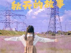 -王借岗森林公园