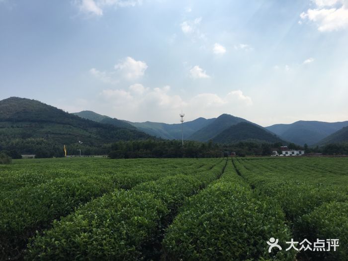 龍池山-圖片-宜興景點/周邊遊-大眾點評網