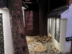 -云涛森林温泉