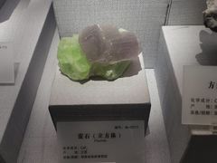 -湖南省地质博物馆