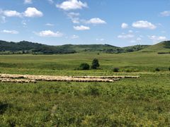 -塞罕坝国家级自然保护区