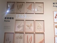 -昆明植物园