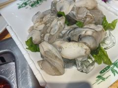 海蛎子-草原塞蛮羊火锅城(港湾店)