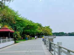 -海珠湖公园