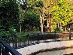 -东莞植物园