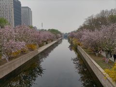 -海棠花溪(元大都城垣遗址公园)