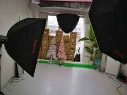 -愿望树儿童摄影(699文创店)