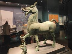 -广西壮族自治区博物馆