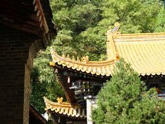 -兴教寺