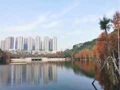 -重庆彩云湖湿地公园