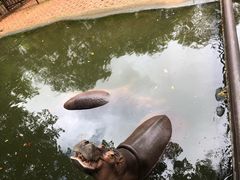 -海南热带野生动植物园