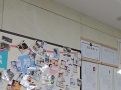 -半岛宠物医院24小时(白果林店)