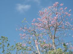 -牛岗山公园