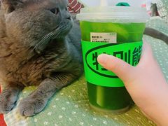 -Yes Lemon就是柠·手打柠檬茶(油坊桥店)