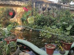 -园林美食城·本土农家菜(杨和镇店)