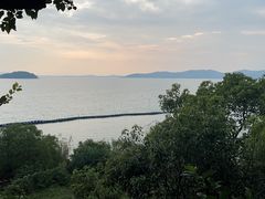 -上海市保健医疗中心