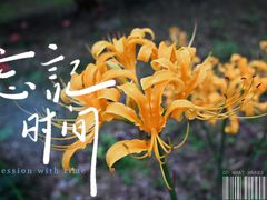-杭州植物园