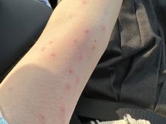 -宁海森林温泉