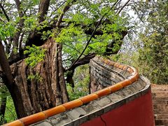 -潭柘寺景区