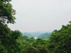 -天鹿湖森林公园