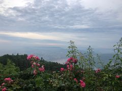 -重庆雨台山风景区
