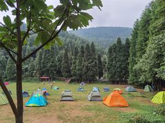 -武陵山森林公园