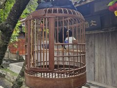 -海窝子古镇