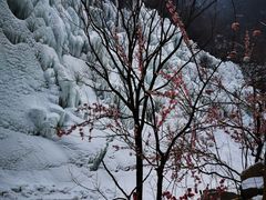 -黑龙潭风景区