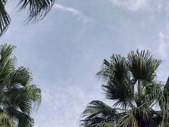 -重庆海昌加勒比海水世界