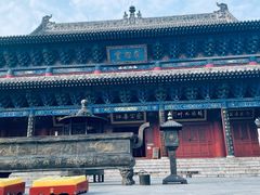 -大槐树寻根祭祖园