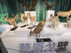 -中国湿地博物馆