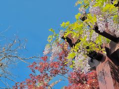 -四明山国家森林公园