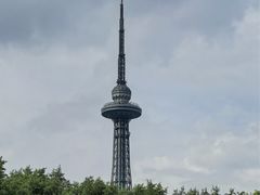 -龙塔