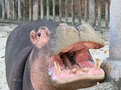 -昆明动物园