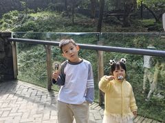 -都江堰中华大熊猫苑