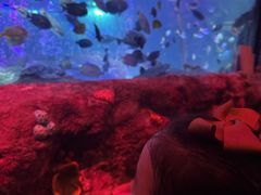 -沈阳海洋探索中心