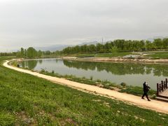-洨河生态公园