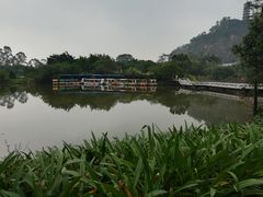 -南沙蒲洲花园