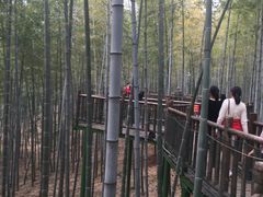 -陶祖圣境风景区