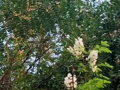 -山东外贸职业学院